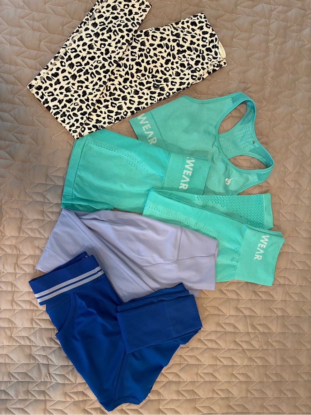 Ryderwear Leopard Leggings with Teal & Blue Activewear Set